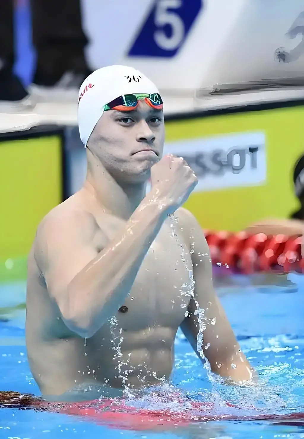 见证泳坛不