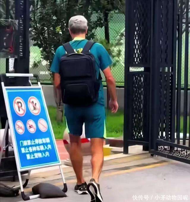 试图引入, 员身价的下, 并非没有优